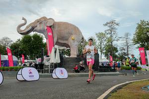 BIB: 
                            <button type="button" onclick="openModal(26528775)" class="btn btn-primary btn-sm float-right btn-popup" data-toggle="modal" data-target=".modal-high-quality">
                        <i class="fas fa-shopping-cart"></i> Add to Cart
                    </button>
                                            <button type="button" onclick="isThisMe(26528775, true)" class="btn btn-success btn-sm float-right btn-popup btn-isme hidden" data-toggle="tooltip" data-placement="bottom" title="นี่คือรูปของคุณใช่ไหม คลิกที่นี่เพื่อเอาเข้าอัลบั้ม">
                        <i class="fas fa-plus"></i> Add to album
                    </button>
                    <button type="button" onclick="isThisMe(26528775, false)" class="btn btn-warning btn-sm float-right btn-popup btn-isnotme hidden">
                        <i class="fas fa-ban"></i> Remove from album
                    </button>